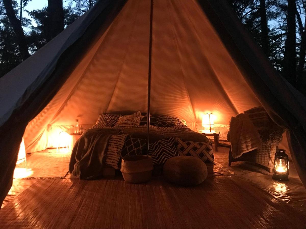 Forest Glamping Varmdo Bagian luar foto